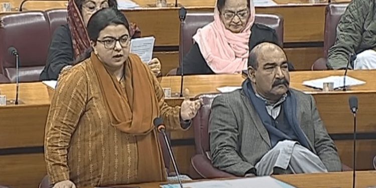 Govt ‘doesn’t deny’ internet challenges as coalition ally PPP assails disruptive measures