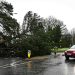 Power cuts and train cancellations as Storm Darragh batters UK