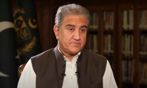 Shah Mahmood Qureshi sees turbulent times ahead due to spat over seminaries bill