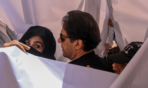 What makes Bushra Bibi such a polarising figure in Pakistani politics?