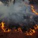 Blame game begins as raging LA fire switches direction