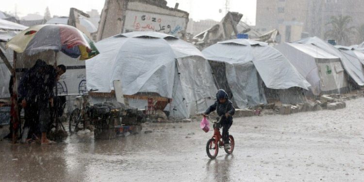 Gaza population down by 6pc since start of conflict: Palestinian statistics bureau