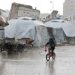 Gaza population down by 6pc since start of conflict: Palestinian statistics bureau