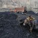 Chinese mine worker killed in north Afghanistan attack