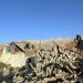 Earthquake in Tibet kills more than 120, striking near holy Buddhist city