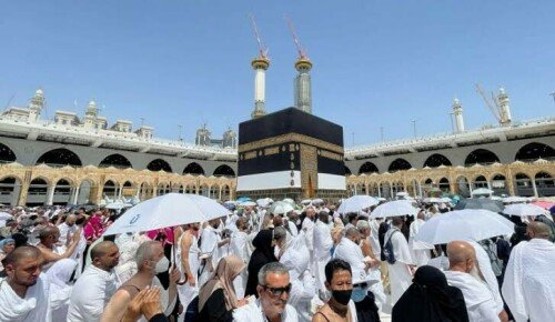 Govt plans to pull out of Haj operation, Senate panel told