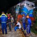 Sri Lanka train derailed after smashing into elephants