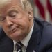 ‘People are afraid’: NY migrant economy wilts under Trump policies