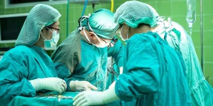 Chinese doctors implant pig liver in human for first time
