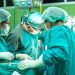 Chinese doctors implant pig liver in human for first time