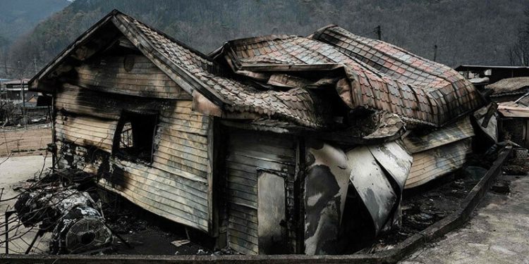 South Korea wildfires ‘largest on record’: disaster chief