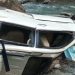 5 of a family killed, 3 injured as jeep plunges into ravine in KP’s Shangla: officials