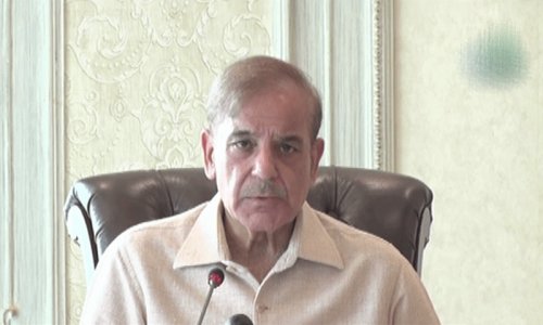 PM Shehbaz reviews steps to build anti-terror narrative