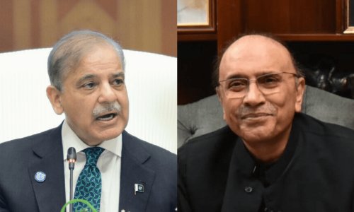PM Shehbaz contacts President Zardari, enquires about his health