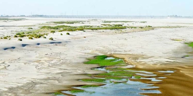 Sindh govt writes second letter to Irsa demanding closure of TP link canal