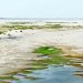 Sindh govt writes second letter to Irsa demanding closure of TP link canal