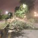 1 child dead, 11 injured in different areas of KP due to strong winds, storms: official