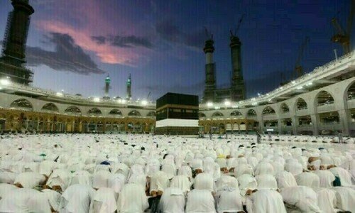 Saudi govt launches health awareness kits for Haj pilgrims