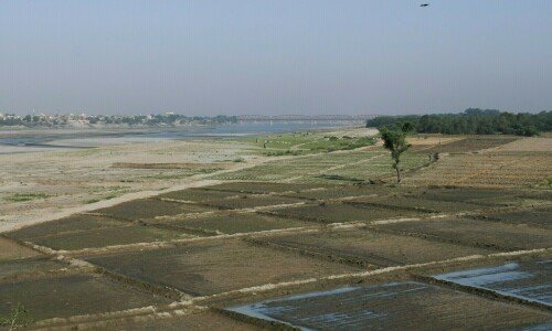 Govt urged to seek US intervention over Indus treaty