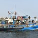 Navy conducts comprehensive exercise to counter sub-conventional, asymmetric threats to Pakistan