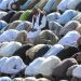 Country celebrates Eidul Azha today with call for unity, selflessness