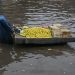 180 dead as country faces intensified monsoon