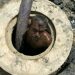 Harrowing picture of sanitation workers’ plight emerges