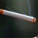 Punjab bans smoking in public parks