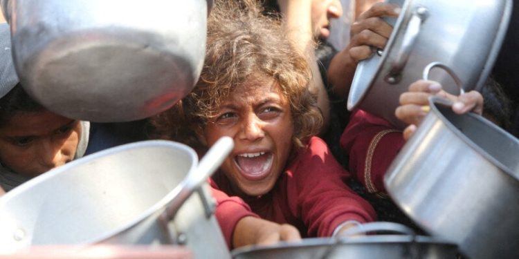 ‘History will never forgive us’, Amnesty official says amid Gaza City famine