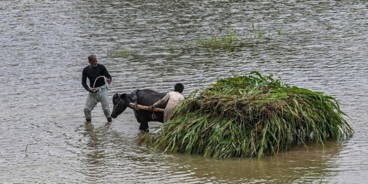 Army called in as ‘exceptionally high’ flood in Chenab, Ravi alarms Punjab