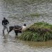 Army called in as ‘exceptionally high’ flood in Chenab, Ravi alarms Punjab