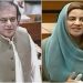 PHC grants protective bail to PTI’s Shibli Faraz, Zartaj Gul