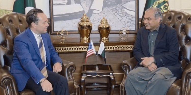 US-Pakistan counterterrorism talks will help formulate joint action plan: Naqvi