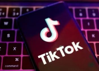 Americans would dominate board of new TikTok US entity: White House