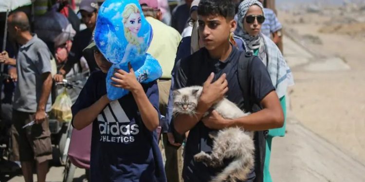 Gaza death toll rises to 71 as Israel pounds the north with bombs