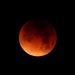 Stargazers to witness rare ‘Blood Moon’ during total lunar eclipse across Asia, Europe, and Africa on Sunday