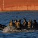 US Navy SEALs botched secret 2019 mission in North Korea: report