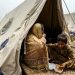 Flood devastation prompts food inflation fears