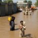 PPP suspends political activity in view of the flood situation in Sindh