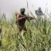 ‘New normal of response’: Army warns future Pak-India conflict might lead to ‘cataclysmic devastation’