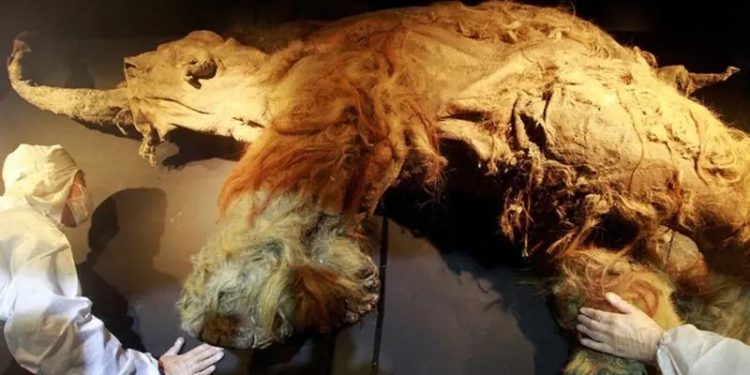 RNA recovered from Siberian mammoth that died 39,000 years ago