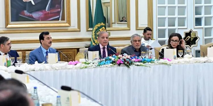 PM Shehbaz thanks coalition partners, President Zardari for ‘full support’ on 27th Amendment