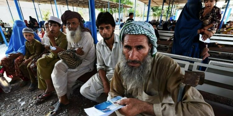 Afghans returning from Iran, Pakistan face different challenges: UN report