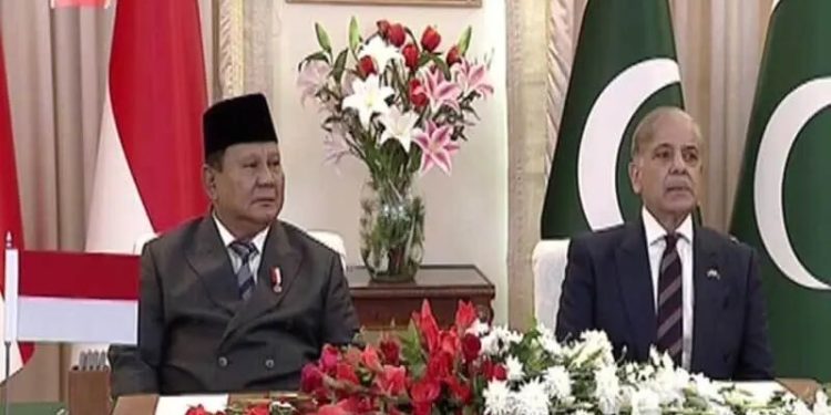 PM Shehbaz hails ‘extremely productive, gratifying’ talks with Indonesian president