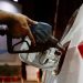 Govt keeps petrol, diesel prices unchanged for next fortnight