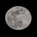 Pakistan witnesses first supermoon of 2026