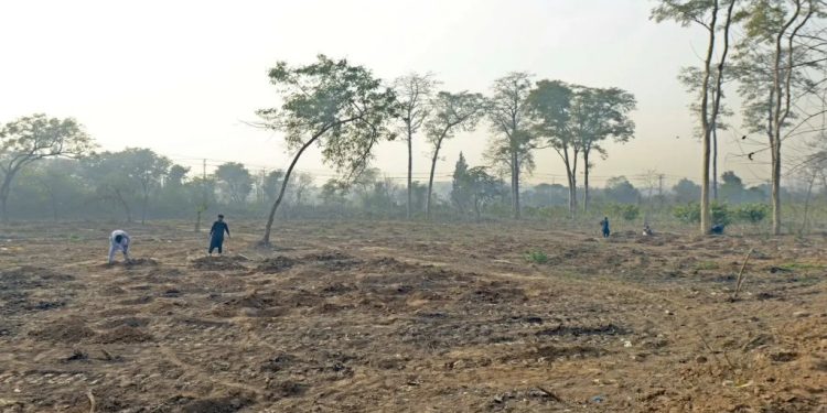 Experts warn elite capture, unchecked development eroding Islamabad’s green spaces