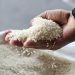Basmati boom propels Pakistan past Vietnam