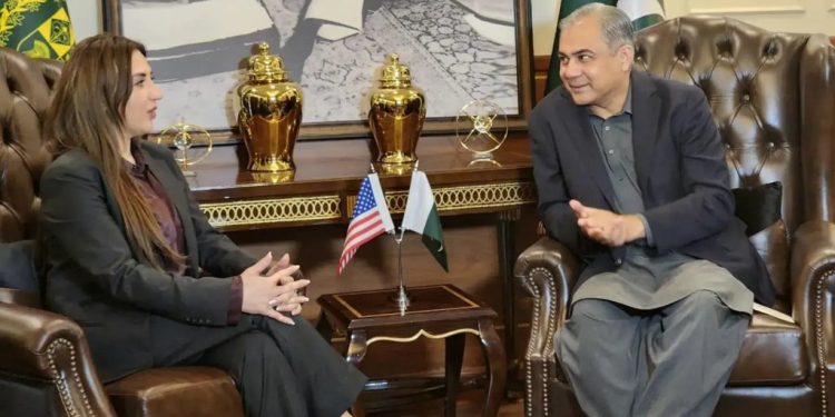 Pakistan, US to take joint action against fraudulent visa networks
