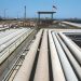 3 new firms seek to sell gas as existing licensees remain idle